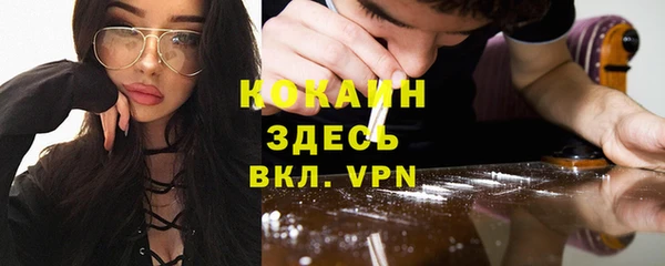 ПСИЛОЦИБИНОВЫЕ ГРИБЫ Богданович