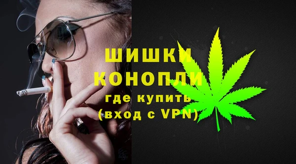 ГАЛЛЮЦИНОГЕННЫЕ ГРИБЫ Беломорск