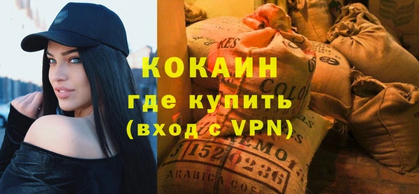 ПСИЛОЦИБИНОВЫЕ ГРИБЫ Богданович