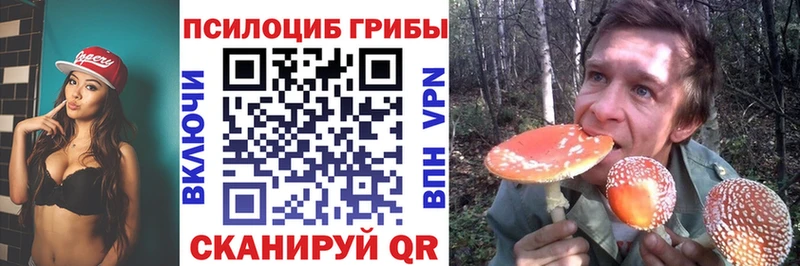 Галлюциногенные грибы прущие грибы  блэк спрут сайт  Бикин 